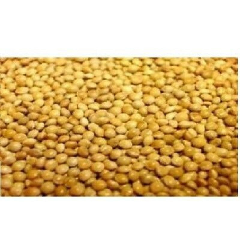 VL French Yellow Millet 25 kg
