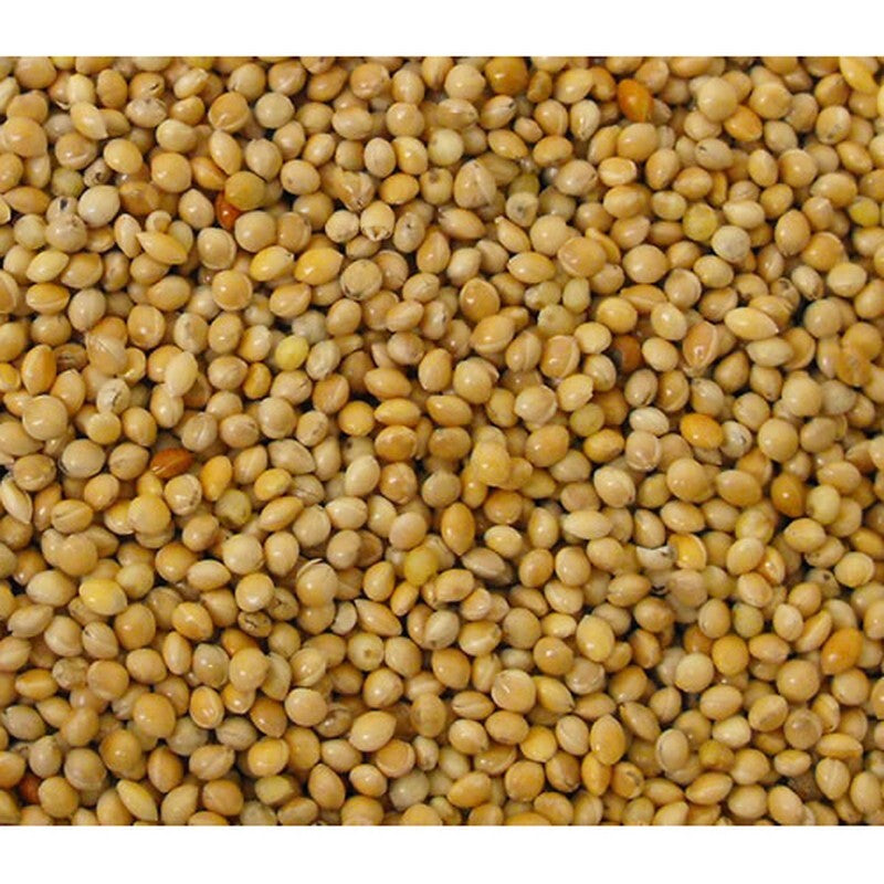 VL Milletseed Yellow 25 kg