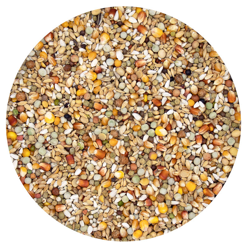 VL Plus Junior 20 kg